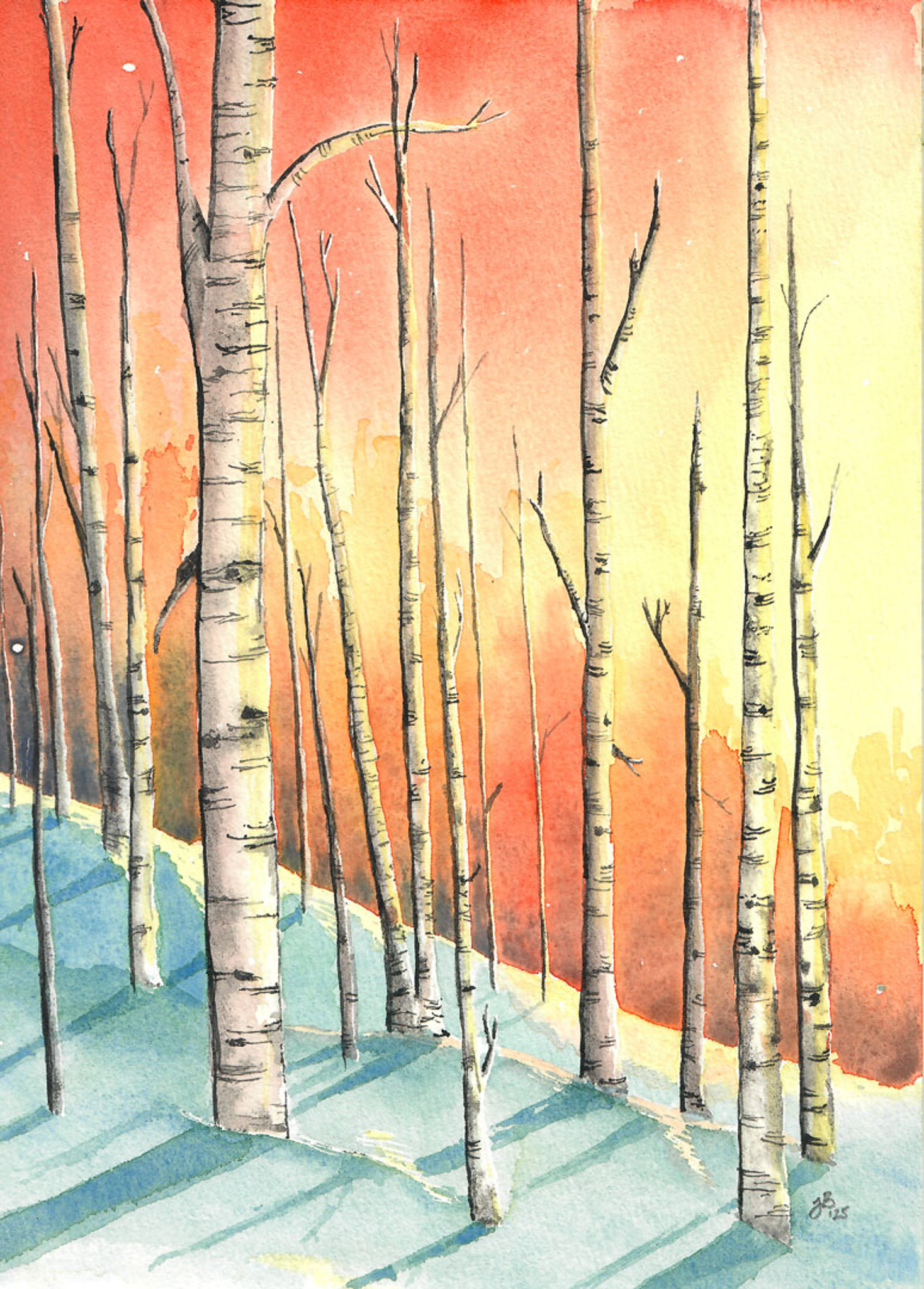 Snowy Birch Hillside